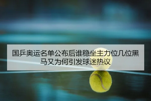 国乒奥运名单公布后谁稳坐主力位几位黑马又为何引发球迷热议